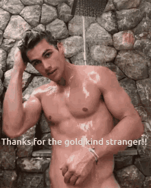 Thanks For The Gold Kind Stranger Hot Guy GIF