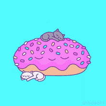 Donut Sleeping GIF - Donut Sleeping Cats GIFs