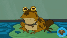 Poochx Toad Poochx GIF - Poochx Toad Poochx GIFs