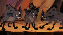 Rofl Hyenas GIF