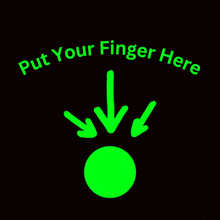 Put Your Finger Here Rat GIF - Put Your Finger Here Rat Rat Nose GIFs