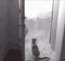 Snow Funny Cat GIF - Snow Funny Cat Cat Reach GIFs
