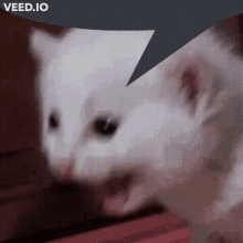 a white cat with its mouth open and a speech bubble that says veed.io