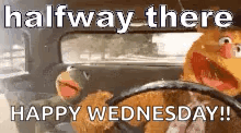a couple of stuffed animals are driving a car and saying `` halfway there happy wednesday ! ''