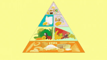 有益的食物食物金字塔歌 Food Pyrad Song GIF - 金字塔pyramid Food Pyramid食物金字塔 GIFs