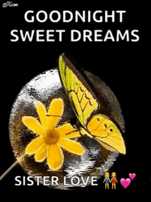 Good Night Sweet Dreams GIF - Good Night Sweet Dreams Flowers GIFs