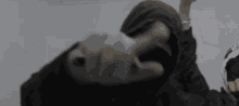 Zeu GIF