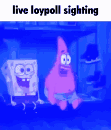 loypoll