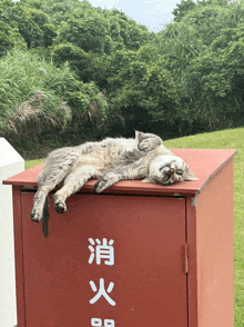 a cat is sleeping on top of a red box with chinese writing on it