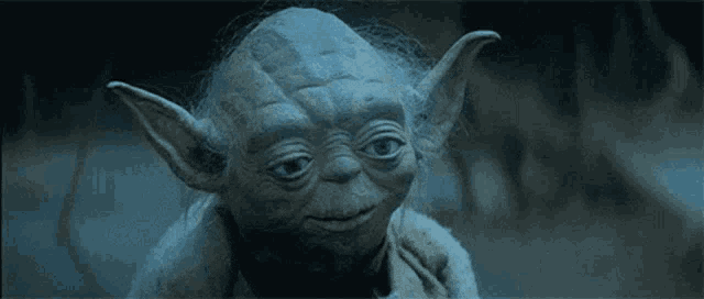 Eyes Closed Yoda GIF Eyes Closed Yoda Sad Discover Share GIFs