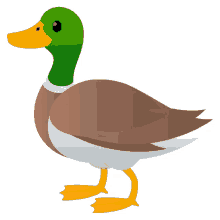 duck nature joypixels domesticated bird natural diversity