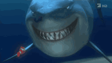 笑う　わらう　ニモ GIF - M Arlin Shark Smiling GIFs