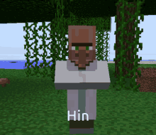 Minecraft Villager GIF - Minecraft Villager Hin GIFs