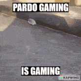 Pardogaming Gamingis GIF - Pardogaming Gamingis Pardogamingisgaming GIFs