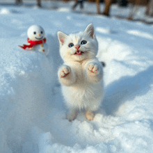 a white kitten is standing in the snow near a snowman
