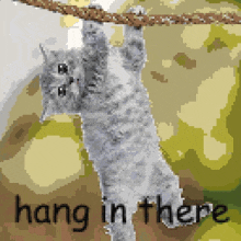 Cat Pixeleted Cat GIF