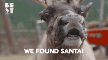 We Found Santa Llama GIF - We Found Santa Llama Santa Claus GIFs