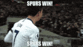 Spurs Win Tottenham Hotspurs GIF - Spurs Win Tottenham Hotspurs Tottenham Spurs GIFs