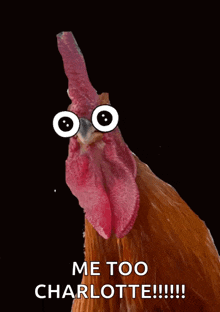 a rooster with googly eyes and the words me too charlotte