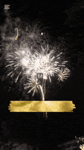 fireworks are displayed in the night sky with a gold brush stroke in the foreground