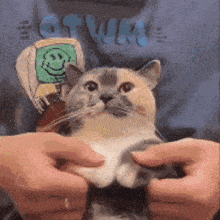 Wiggly Woogly Cat GIF - Wiggly Woogly Cat GIFs