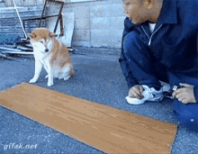 Dog Dog Helper GIF - Dog Dog Helper Dog Tricks GIFs