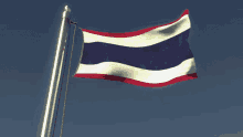 flag flag waver thailand