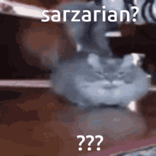 Sarzarian GIF - Sarzarian GIFs