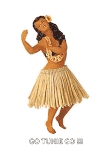 Hawaiian Hula Dance GIF