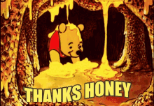 Thanks Honey Thank You GIF