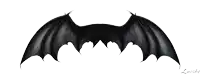 a pair of black bat wings with the name luishe on the bottom right