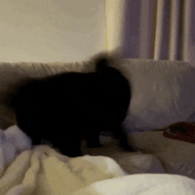 a black cat is laying on a bed with a white blanket