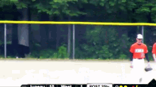 Bear Interrupts Baseball Game GIF - Bear Interrupt Baseball GIFs