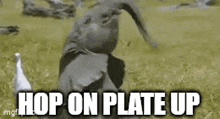 Plate Up GIF - Plate Up GIFs