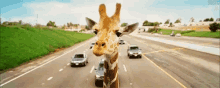 Giraffe Highway GIF - Giraffe Highway GIFs