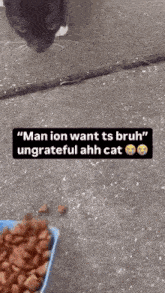 a cat is looking at a bowl of cat food on the ground