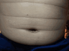 Fat Fats GIF - Fat Fats Belly GIFs