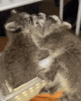 a couple of cats laying on top of each other on a table