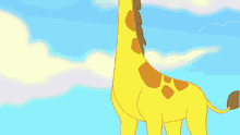 girafa safari