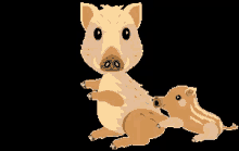いのしし 動物 イノシシ 野生 GIF - Wildboar Wild Pig Animal GIFs