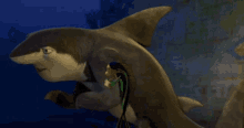 Shark Tale Lenny GIF - Shark Tale Lenny Shocked GIFs