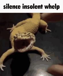 Lizard Silence Insolent Whelp Discord Meme Shut Up GIF - Lizard Silence Insolent Whelp Discord Meme Shut Up GIFs