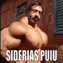 Sid Siderias GIF - Sid Siderias Puyu GIFs