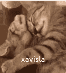 Xavier Isla GIF - Xavier Isla Andrew GIFs