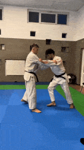 two men are practicing martial arts on a blue and green mat