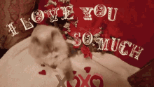 I Love You So Much I Love You This Much GIF - I Love You So Much I Love You This Much Xoxo GIFs