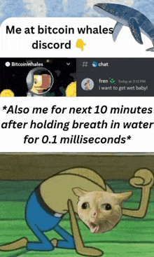 Bitcoinwhales Meme GIF - Bitcoinwhales Meme GIFs