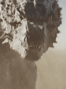 Godzilla Monsterverse GIF - Godzilla Monsterverse GIFs