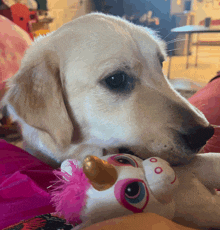 Golden Retriever When Someone Asks If You Want Food GIF - Golden Retriever When Someone Asks If You Want Food Your Face When Someone Mentions Food GIFs