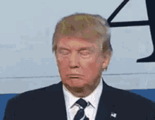 Trump Donald Trump GIF - Trump Donald Trump Whatever GIFs